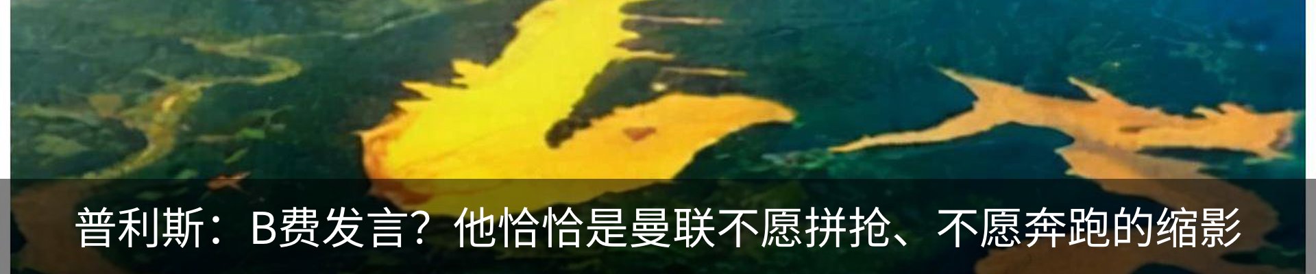 内页banner