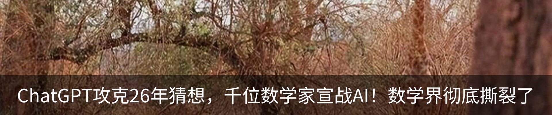 内页banner